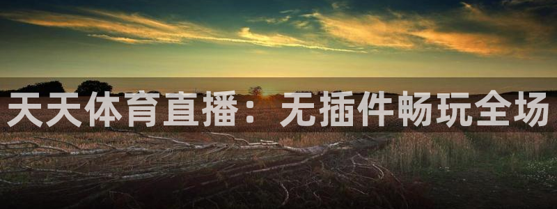 飞速直播体育nba：天天体育直播：无插件畅玩全场