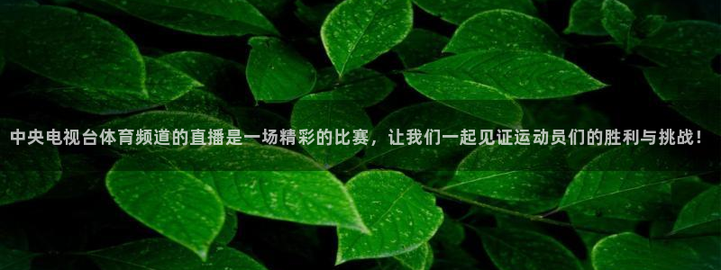 飞速直播体育无插件：中央电视台体育频道的直播是一场精彩的比赛，让我们一起见证运动员们的胜利与挑战！