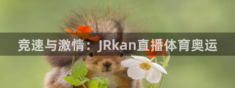 飞速体育直播免费观看：竞速与激情：JRkan直播体育奥运