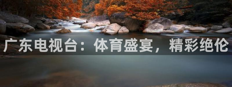 飞速体育直播间全新服务体验.好玩网.top：广东电视台：体育盛宴，精彩绝伦