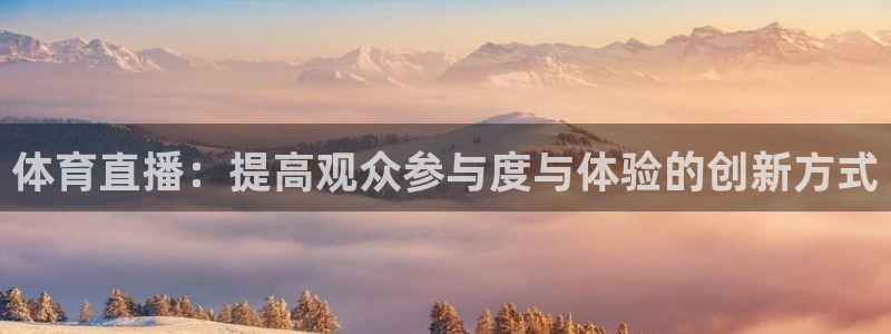 nba无插件飞速直播：体育直播：提高观众参与度与体验的创新方式