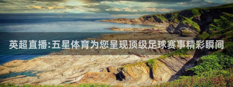 飞速看球：英超直播:五星体育为您呈现顶级足球赛事精彩瞬间