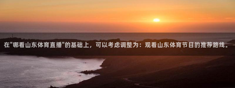 飞速直播体育篮球：在\