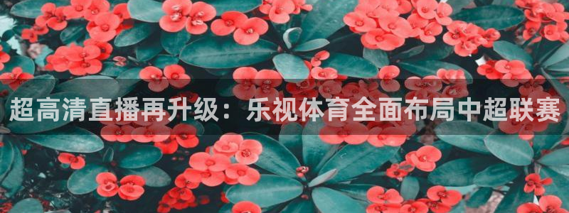 飞速nba直播在线直播：超高清直播再升级：乐视体育全面布局中超联赛