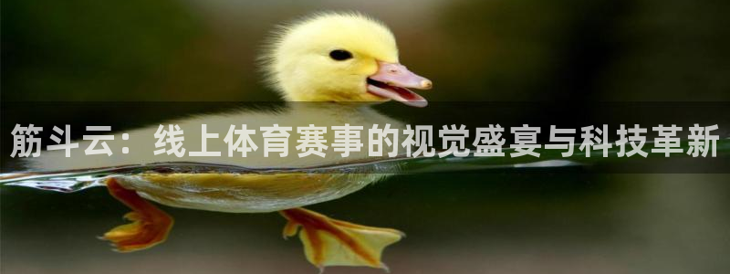 飞速体育无插件直播nba高清：筋斗云：线上体育赛事的视觉盛宴与科技革新